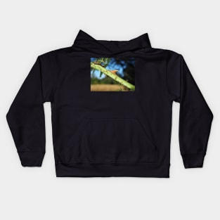 Wild rose stem with thorns Kids Hoodie